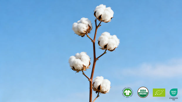 <h2>Certified Organic Cotton—Safe for Everyday Wear</h2>